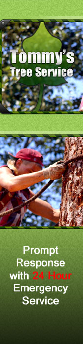 TOMMY FRAZIER TREE SERVICE