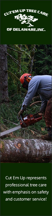 CUT'EM UP TREE CARE OF DELAWARE INC