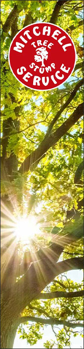 MITCHELL TREE & STUMP SERVICE