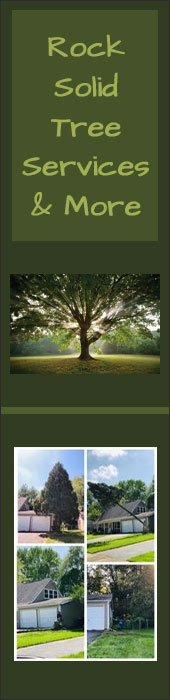 ROCK SOLID TREE SERVICE