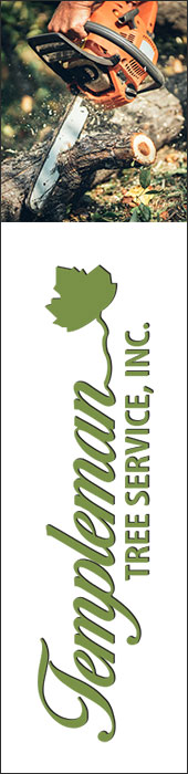 TEMPLEMAN TREE SERVICE