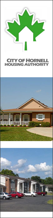CITY OF HORNELL HOUSING AUTHORITY