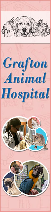 GRAFTON ANIMAL HOSPITAL