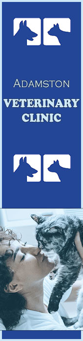 ADAMSTON VETERINARY CLINIC