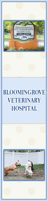 BLOOMINGROVE VETERINARY HOSPITAL