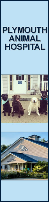 PLYMOUTH ANIMAL HOSPITAL
