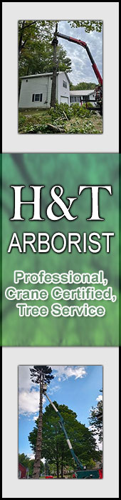 H&T ARBORIST LLC