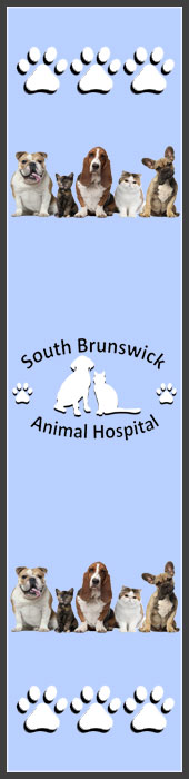 SOUTH BRUNSWICK ANIMAL HOSPITAL
