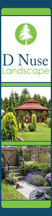 D NUSE LANDSCAPE DESIGN