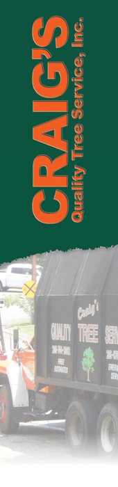 CRAIG'S QUALITY TREE SERVICE