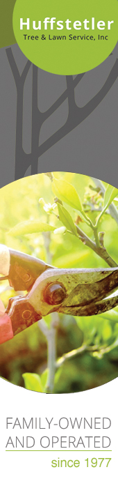 HUFFSTETLER TREE & LAWN SERVICE
