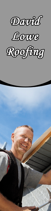 DAVID LOWE ROOFING