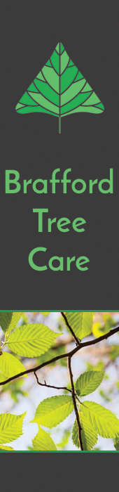 BRAFFORD TREE CARE