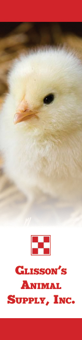 GLISSONS ANIMAL SUPPLY INC