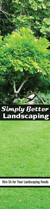 SIMPLY BETTER LANDSCAPING LLC