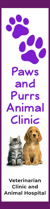 PAWS & PURRS ANIMAL CLINIC