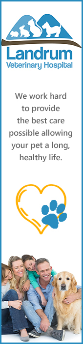 LANDRUM VETERINARY HOSPITAL