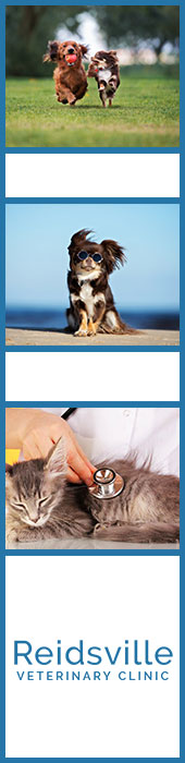 REIDSVILLE VETERINARY CLINIC