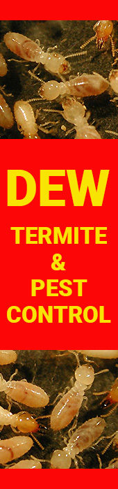 DEW TERMITE & PEST CONTROL
