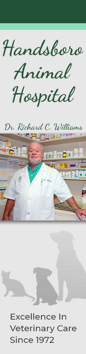 HANDSBORO ANIMAL HOSPITAL