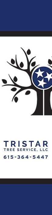 TRISTAR TREE SERVICE