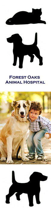 FOREST OAKS ANIMAL HOSPITAL