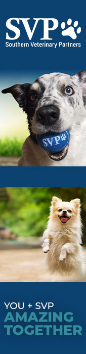 SOUTHERN VETERINARY PARTNERS