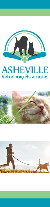 ASHEVILLE VETERINARY ASSOCIATES