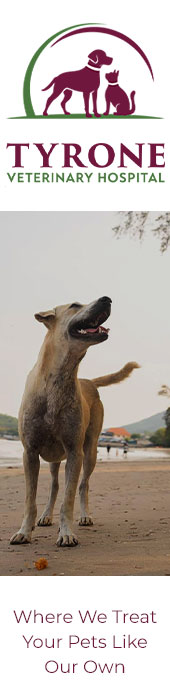 TYRONE VETERINARY HOSPITAL