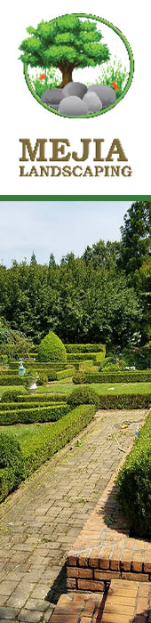 MEJIA LANDSCAPING USA LLC