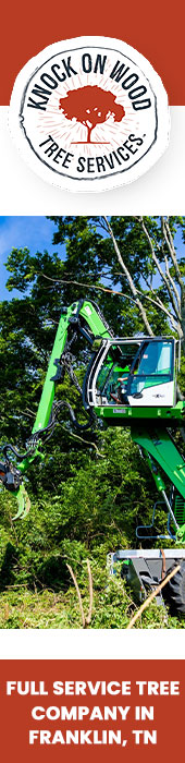 KNOCK ON WOOD TREE SERVICES LLC