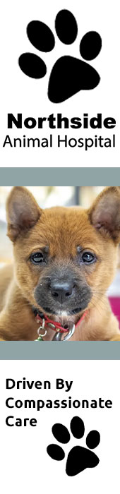 NORTHSIDE ANIMAL HOSPITAL