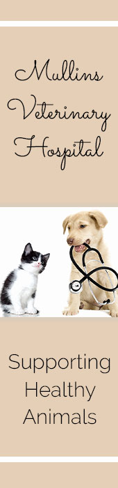 MULLINS VETERINARY HOSPITAL