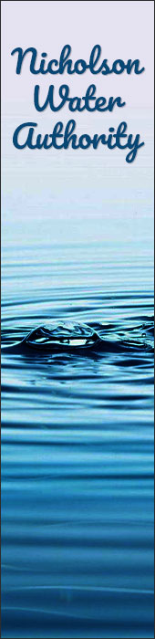 NICHOLSON WATER AUTHORITY