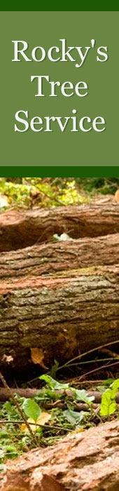 ROCKY'S TREE SERVICE