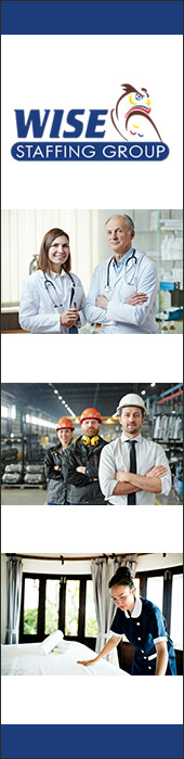 WISE STAFFING GROUP
