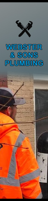 WEBSTER & SONS PLUMBING INC