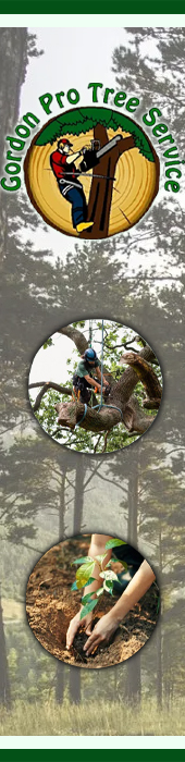GORDON PRO TREE SERVICE
