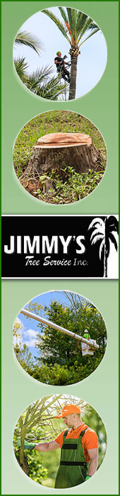 JIMMY'S TREE SERVICE, INC