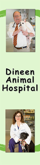 DINEEN ANIMAL HOSPITAL