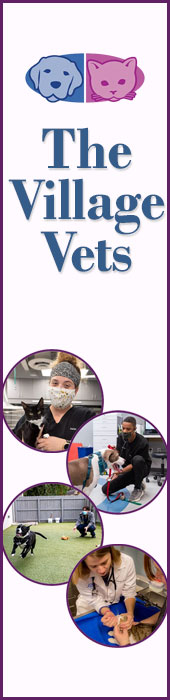 VILLAGE VETS VIRGINIA - HIGHLANDS