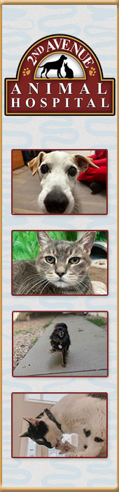 2ND AVENUE ANIMAL HOSPITAL