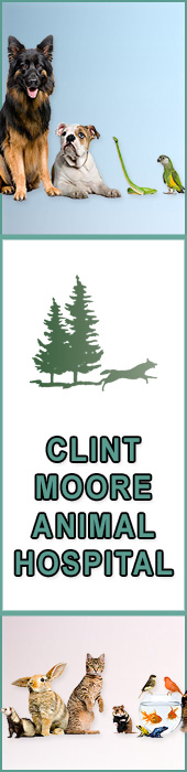 CLINT MOORE ANIMAL HOSPITAL