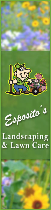 ESPOSITO'S LANDSCAPING AND LAWN CARE