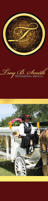 TROY B. SMITH PROFESSIONAL SERVICES