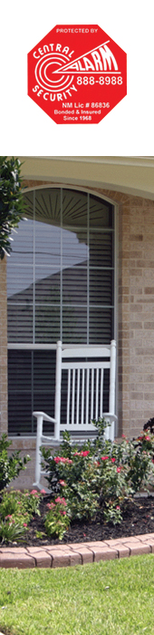 CENTRAL SECURITY ALARM