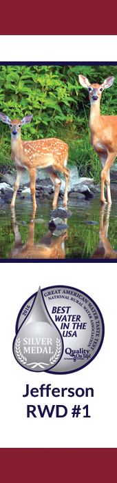 CONSOLIDATED RURAL WATER & SEWER DISTRICT