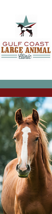 GULF COAST LARGE ANIMAL CLINIC