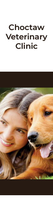 CHOCTAW VETERINARY CLINIC