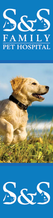 S & S FAMILY PET HOSPITAL